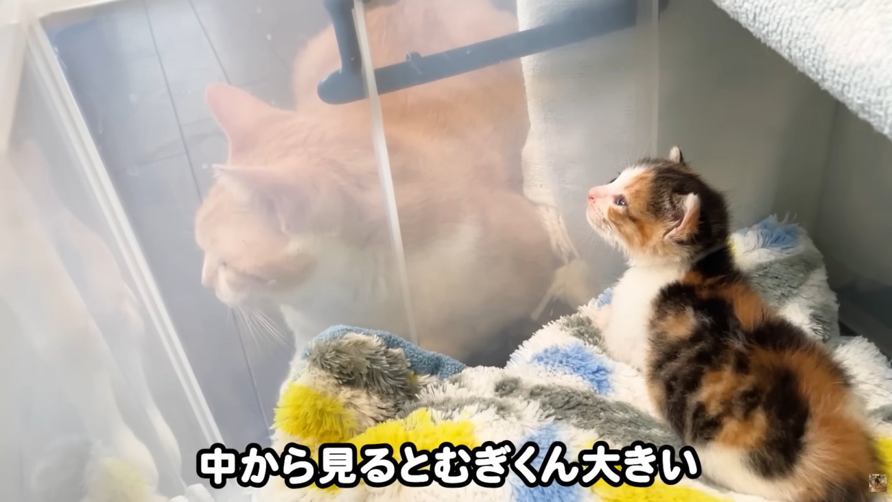 テロップ「中から見ると～」