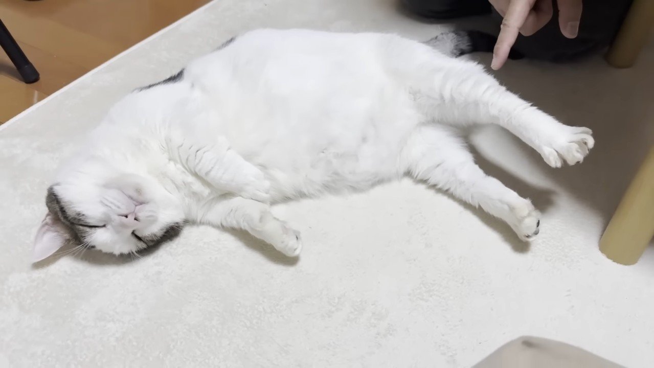 寝ながらのびー