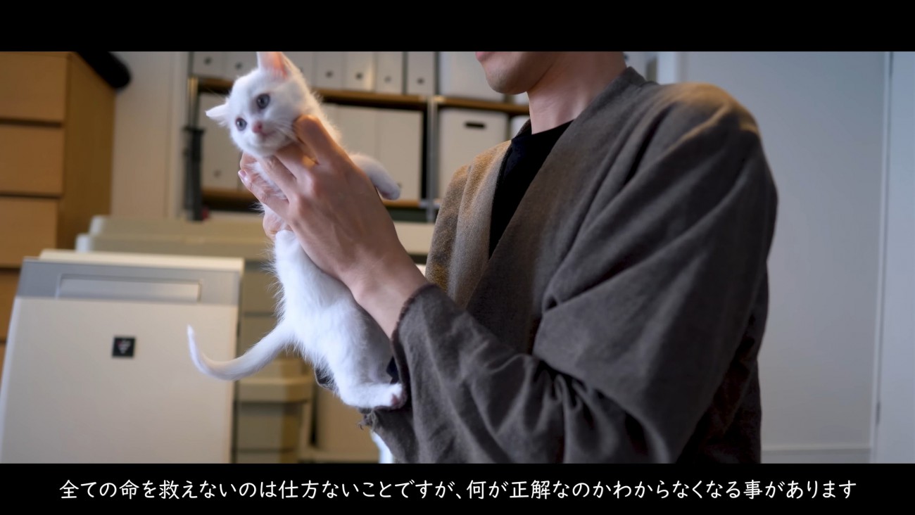 抱えられている子猫