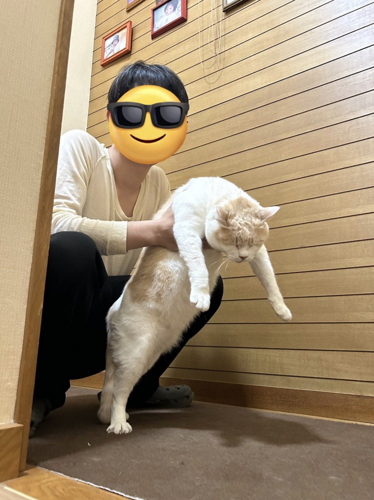 男性に脇腹を掴まれて持ち上げられる猫