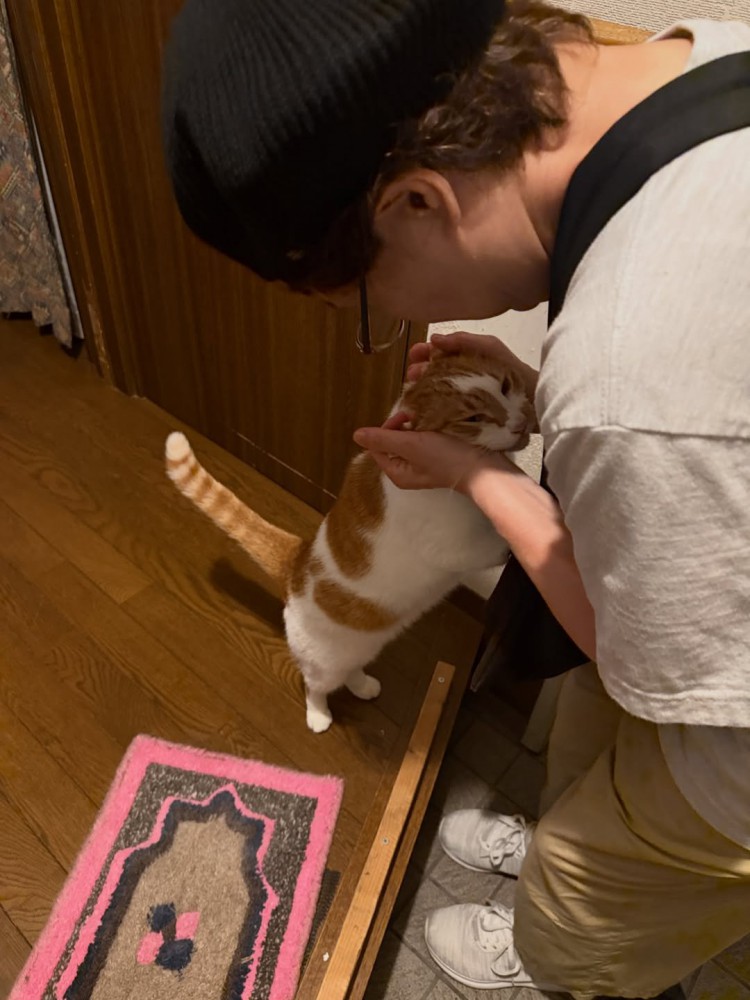 立ち上がってなでられる猫