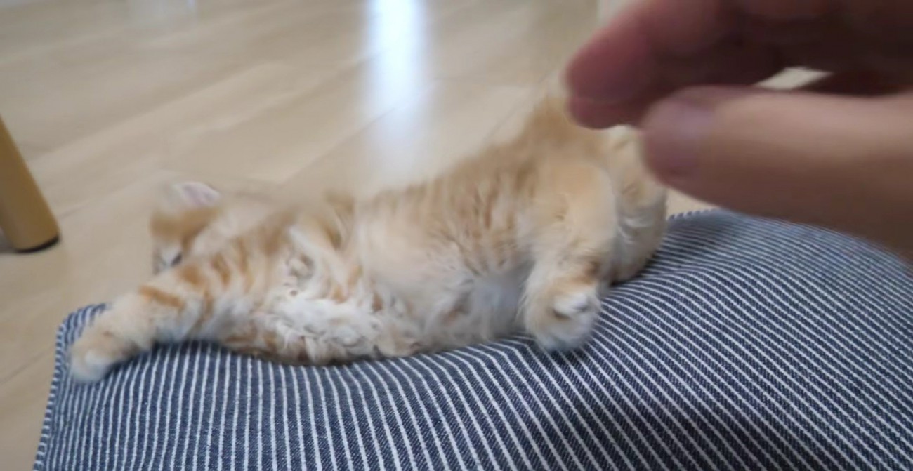 クッションにすりすりして落ちそうになる赤ちゃん