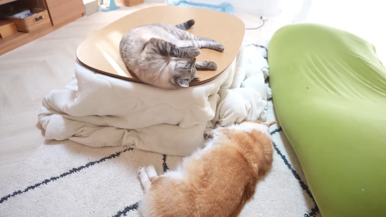 寝転がるふたり