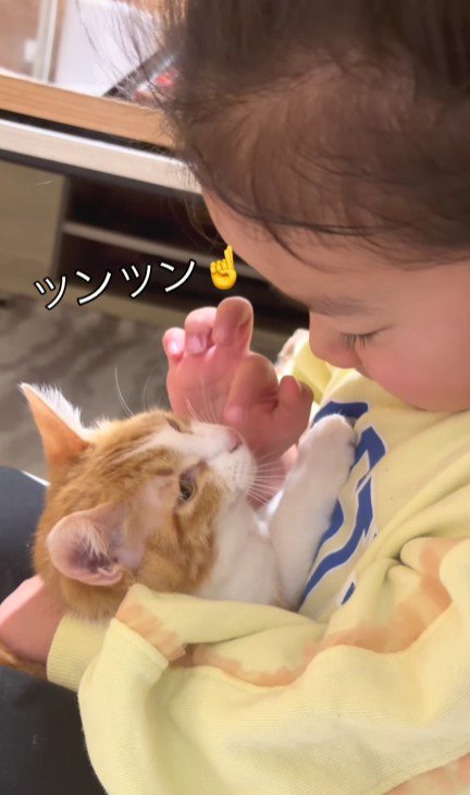 子猫を抱く女の子
