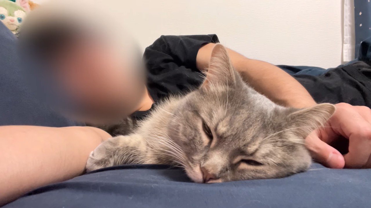眠った姿