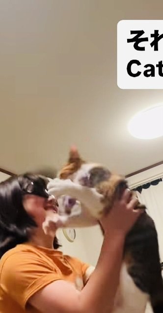 飛んできた三毛猫をキャッチする娘さん