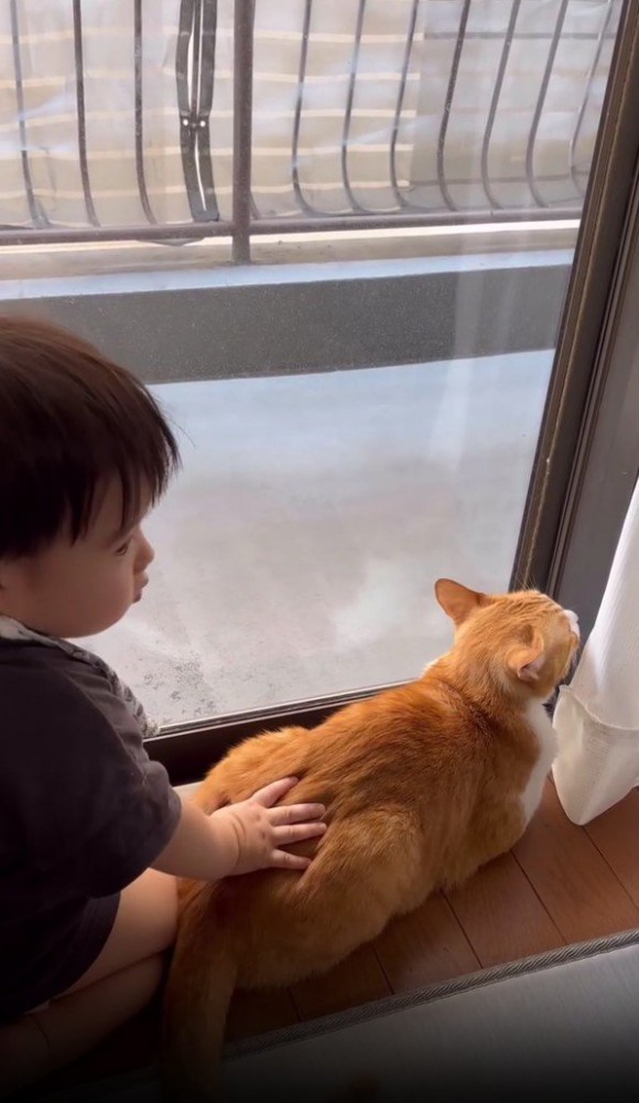 猫のおしりをたたく赤ちゃん