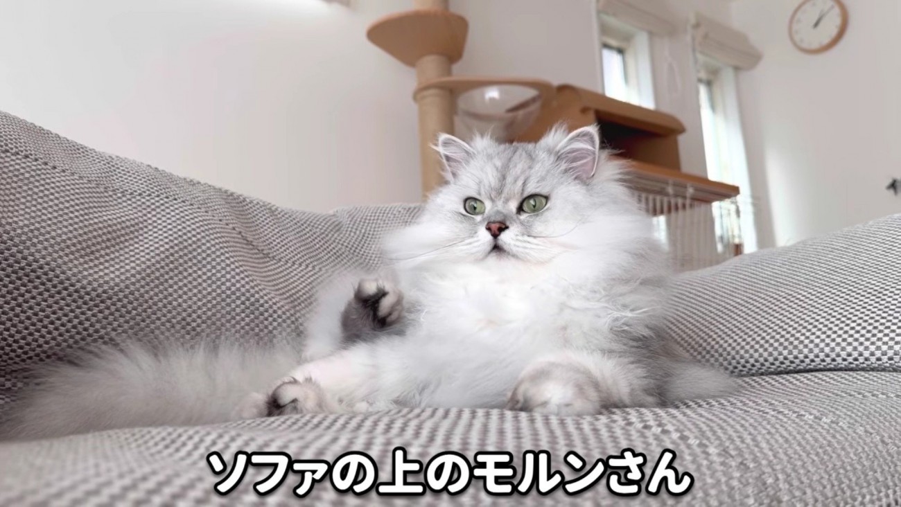 ソファに座るモルンさん