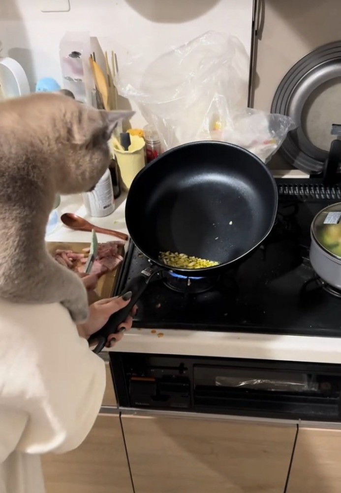 ニンニクを見つめる猫