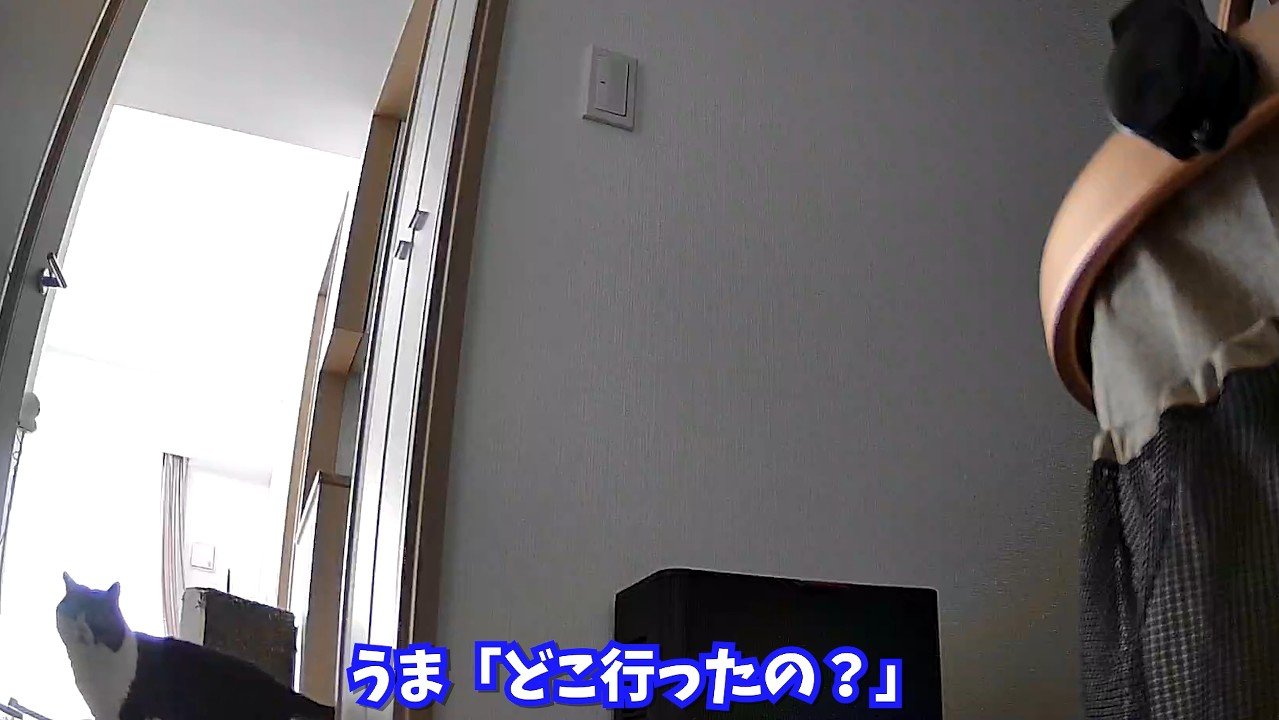 どこ行ったの？