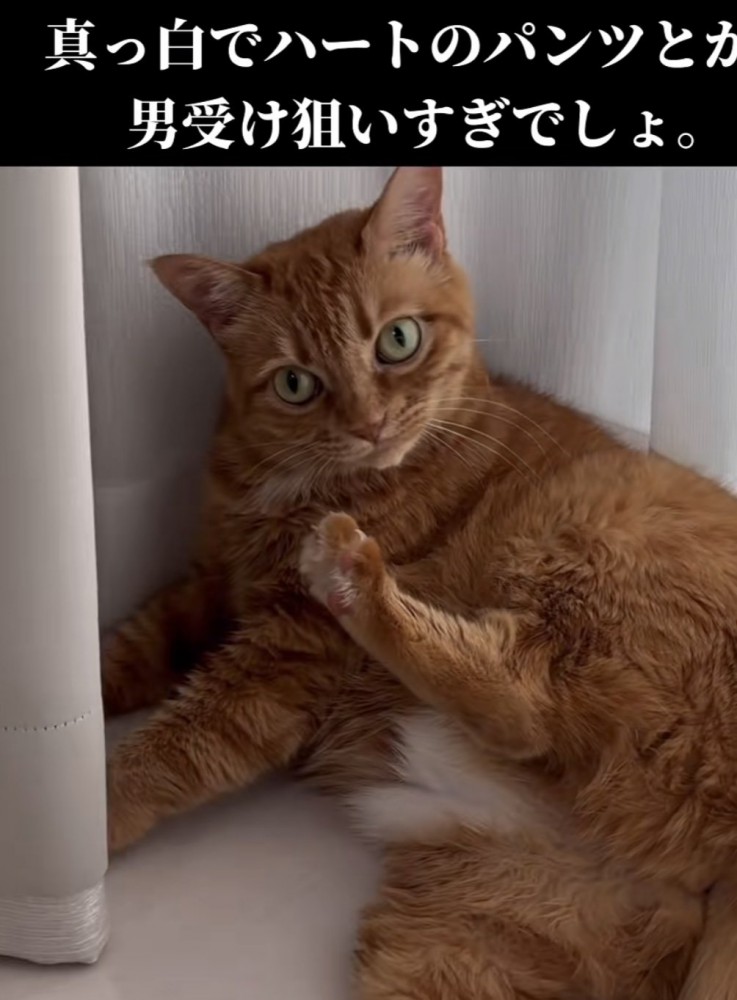 「真っ白でハートのパンツ...」のテロップ写真