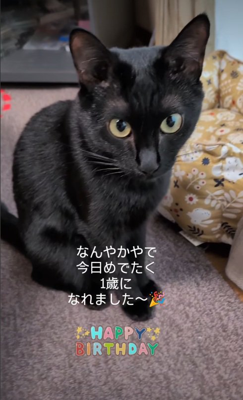 誕生日
