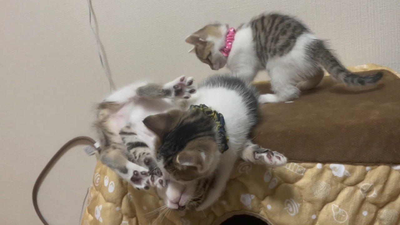 隅っこギリギリのふたり