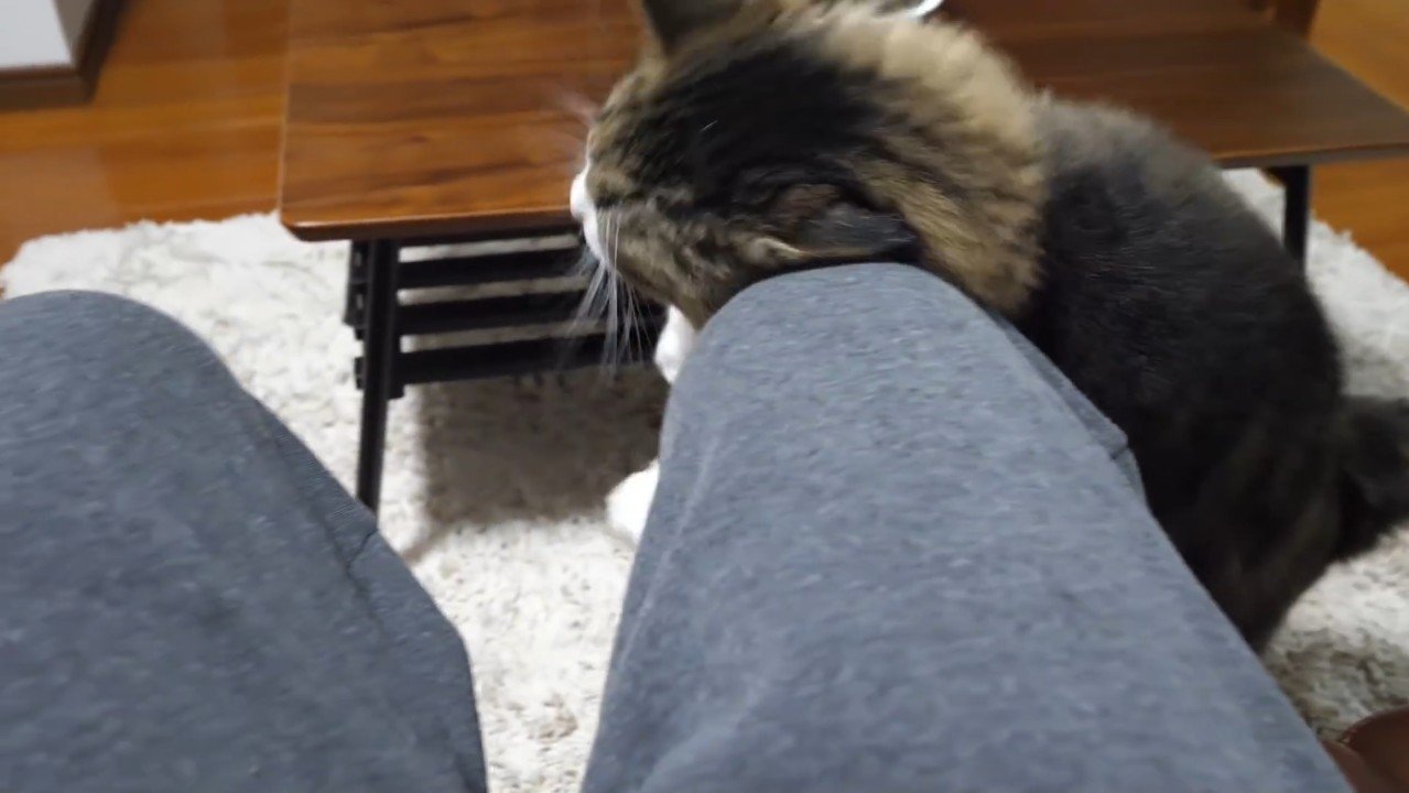 膝にスリッ
