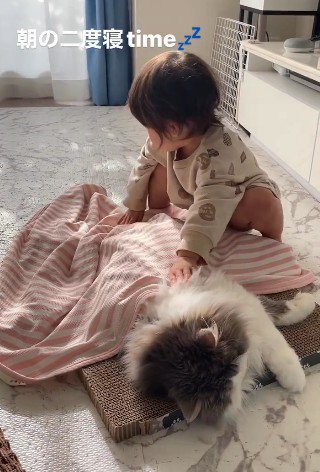 ブランケットのかかり具合を確認する子ども