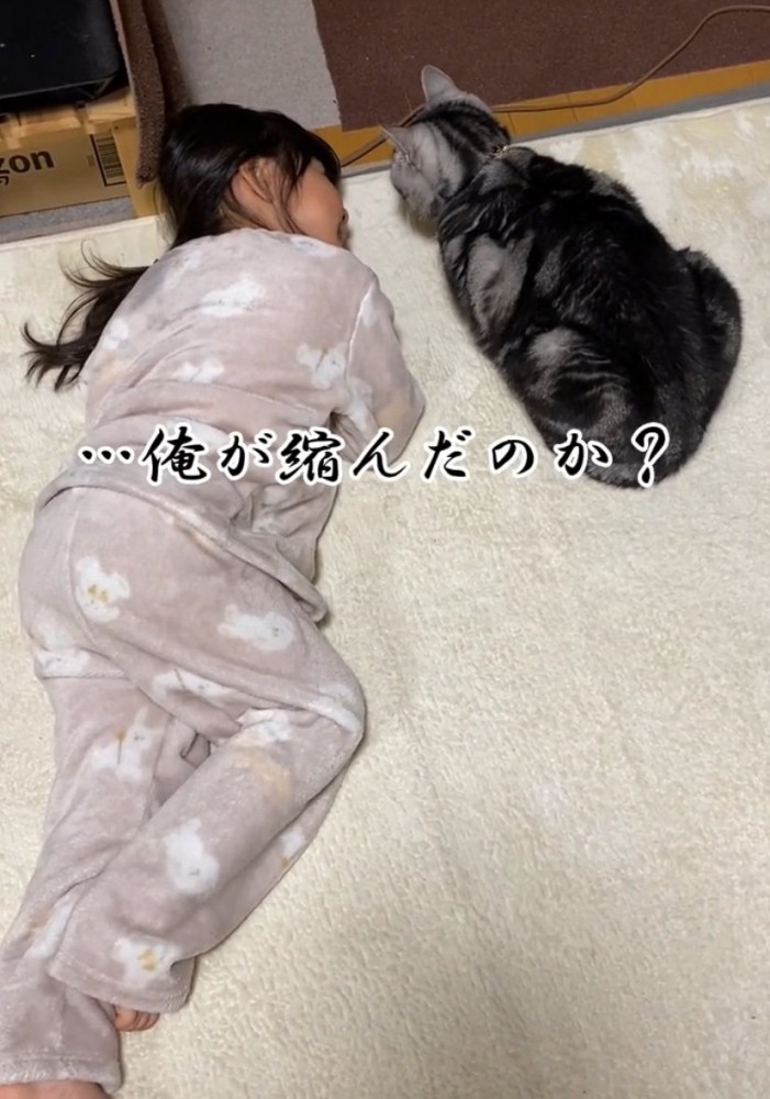 「俺が縮んだのか？」