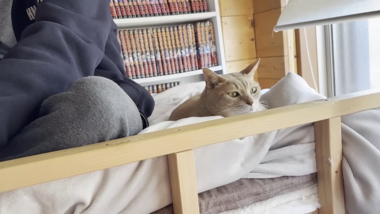 画面左半分にあぐら姿勢の息子さんの足、その右に1匹の猫ちゃん