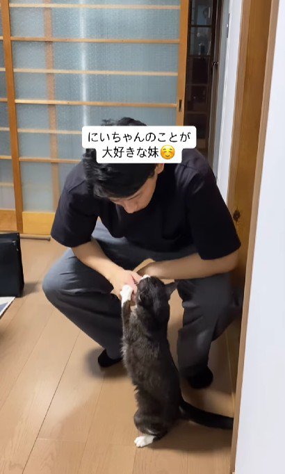 猫と男性