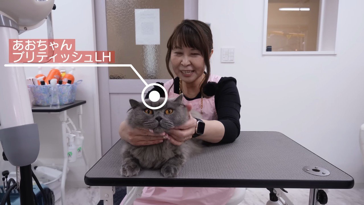 テーブルの上