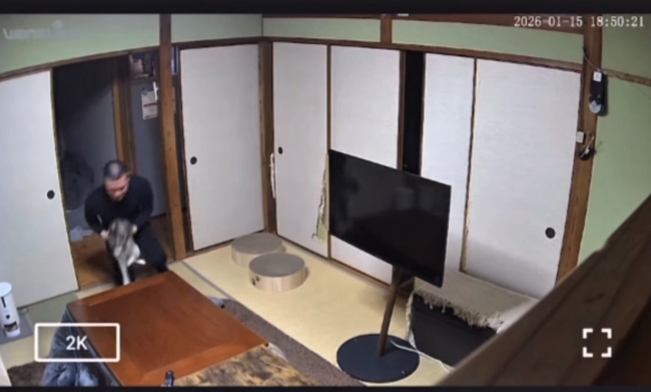 猫を抱き上げる男性