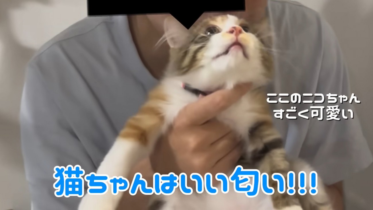 テロップ「猫ちゃんはいい匂い!!!」