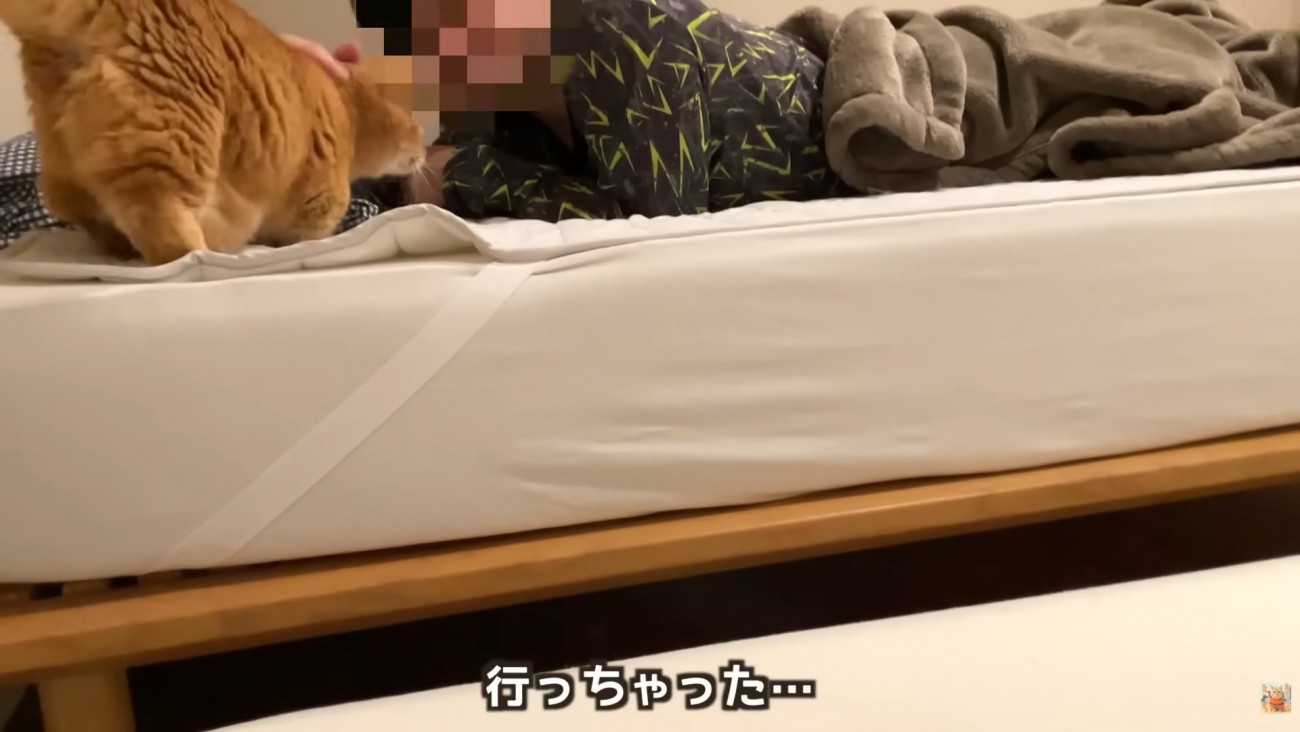 テロップ「行っちゃった…」