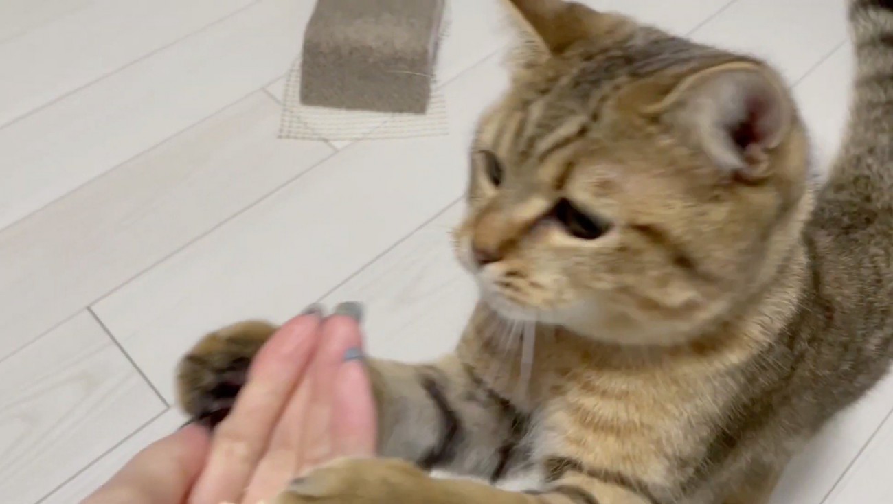 おやつをみつけたみにらくん