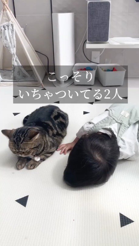 床の上に寝そべる猫と赤ちゃん