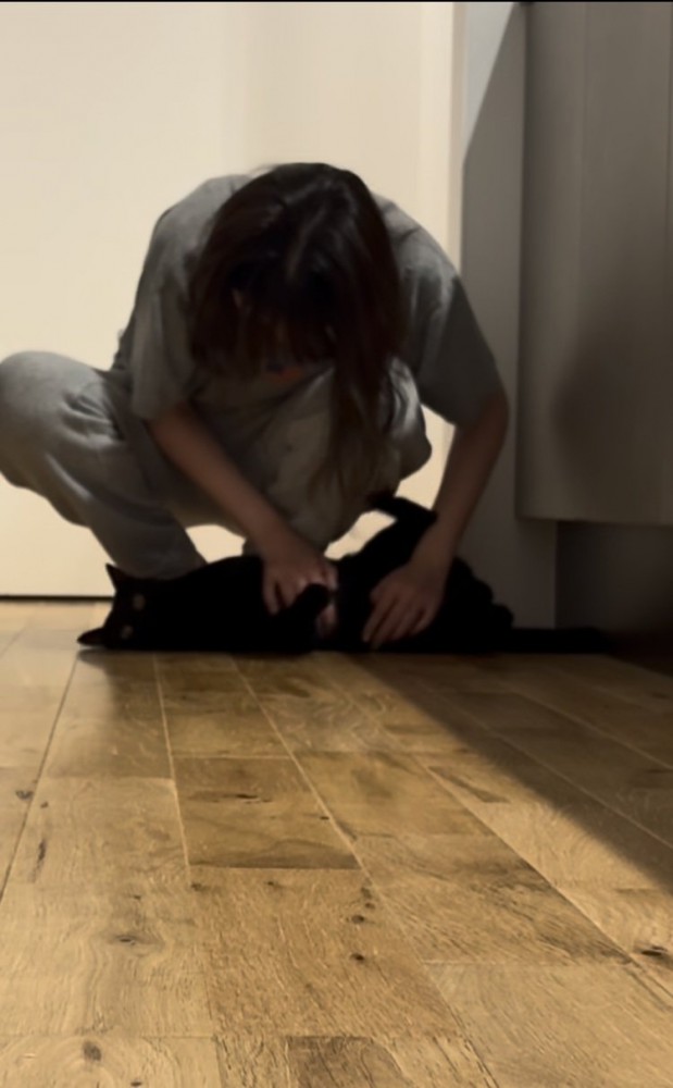 ママさんにお腹を撫でてもらう黒猫