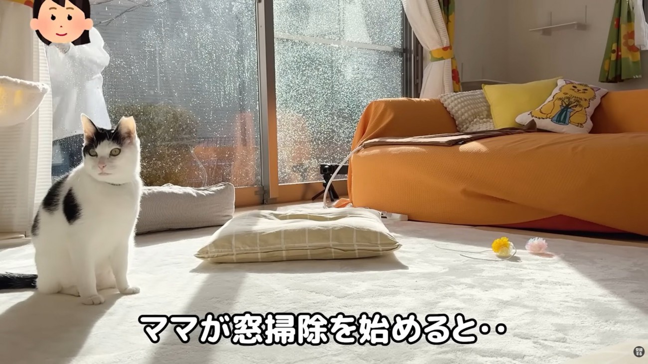 テロップ「ママが窓掃除を始めると」