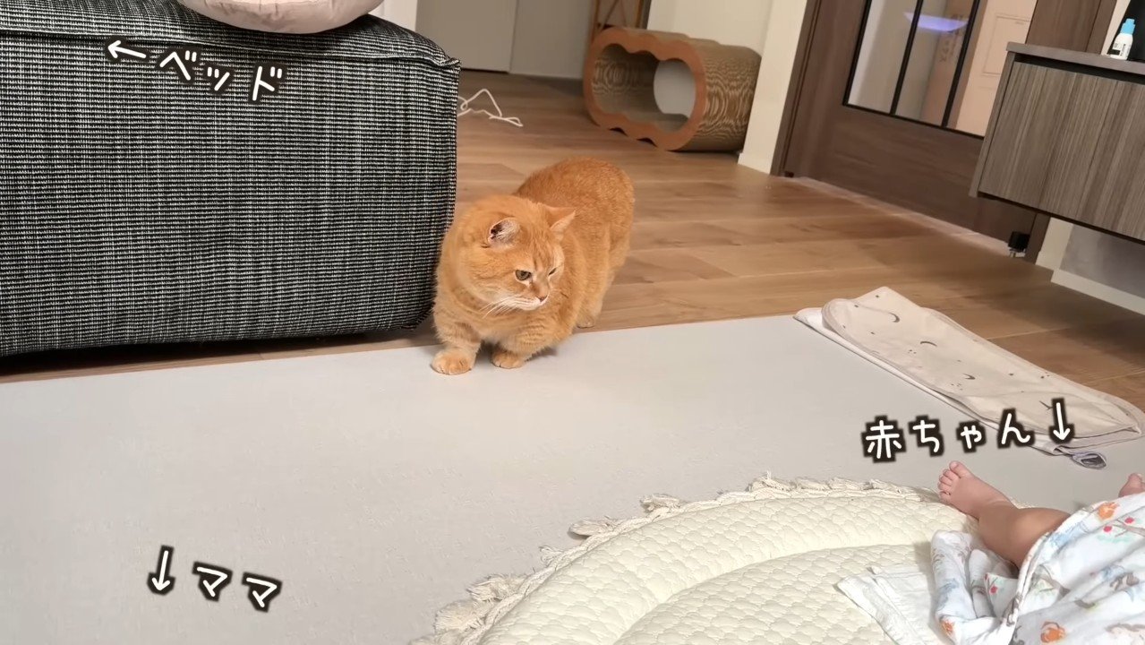 ベッド・ママ・赤ちゃん