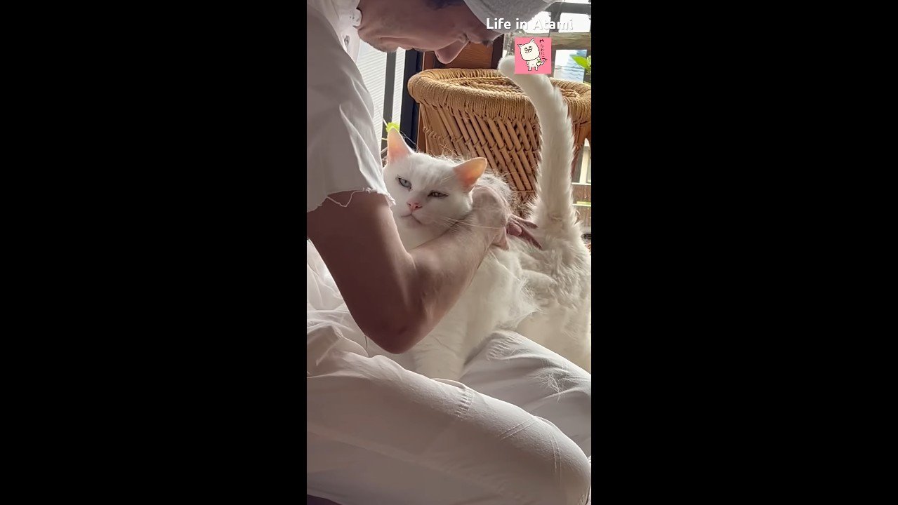 こちらを向いて