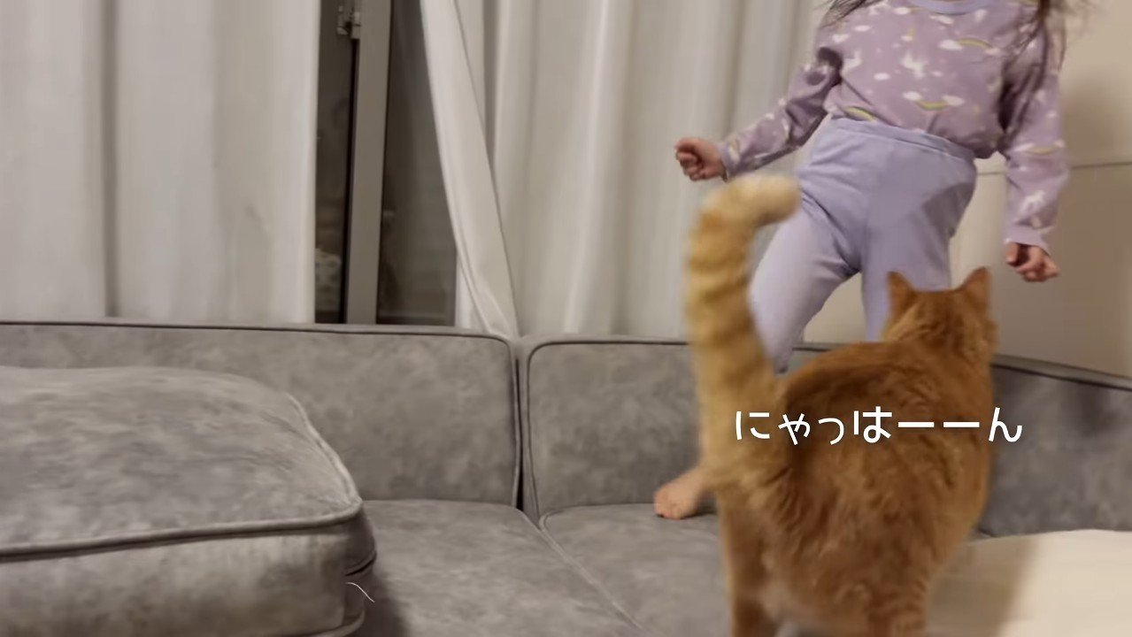 にゃっはーーん