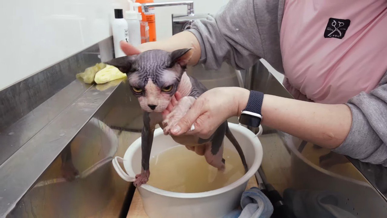 桶の中で立ちポーズ