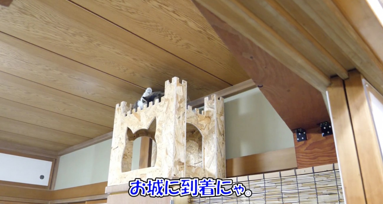 お城に着いたボス吉くん