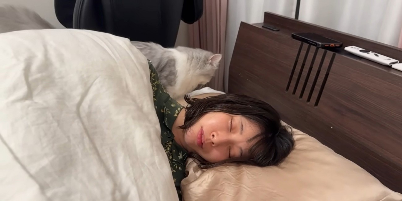 寝ている人とその後ろを歩いている猫