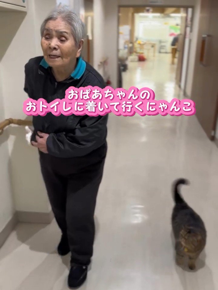 一緒に歩く人と猫