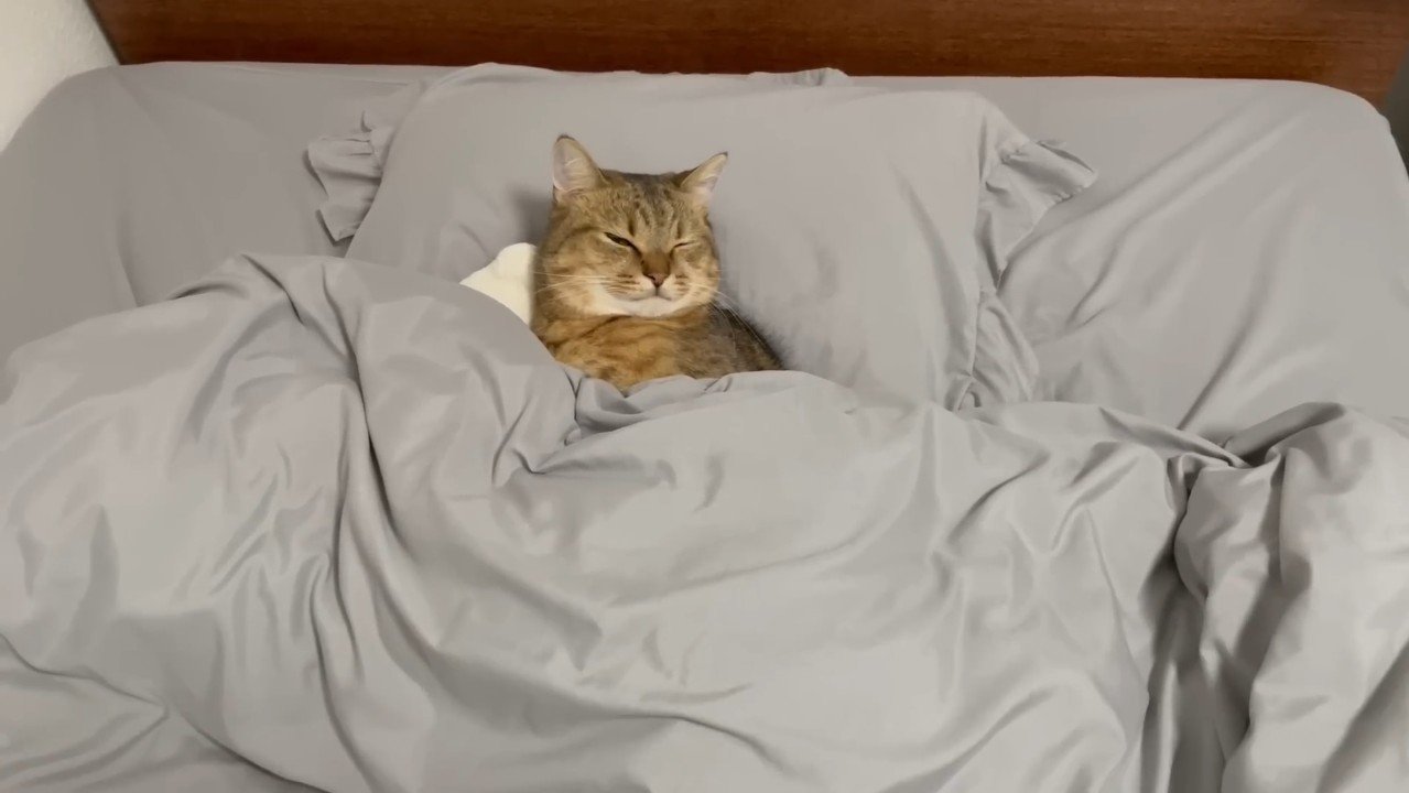 上から(目を細めた顔)