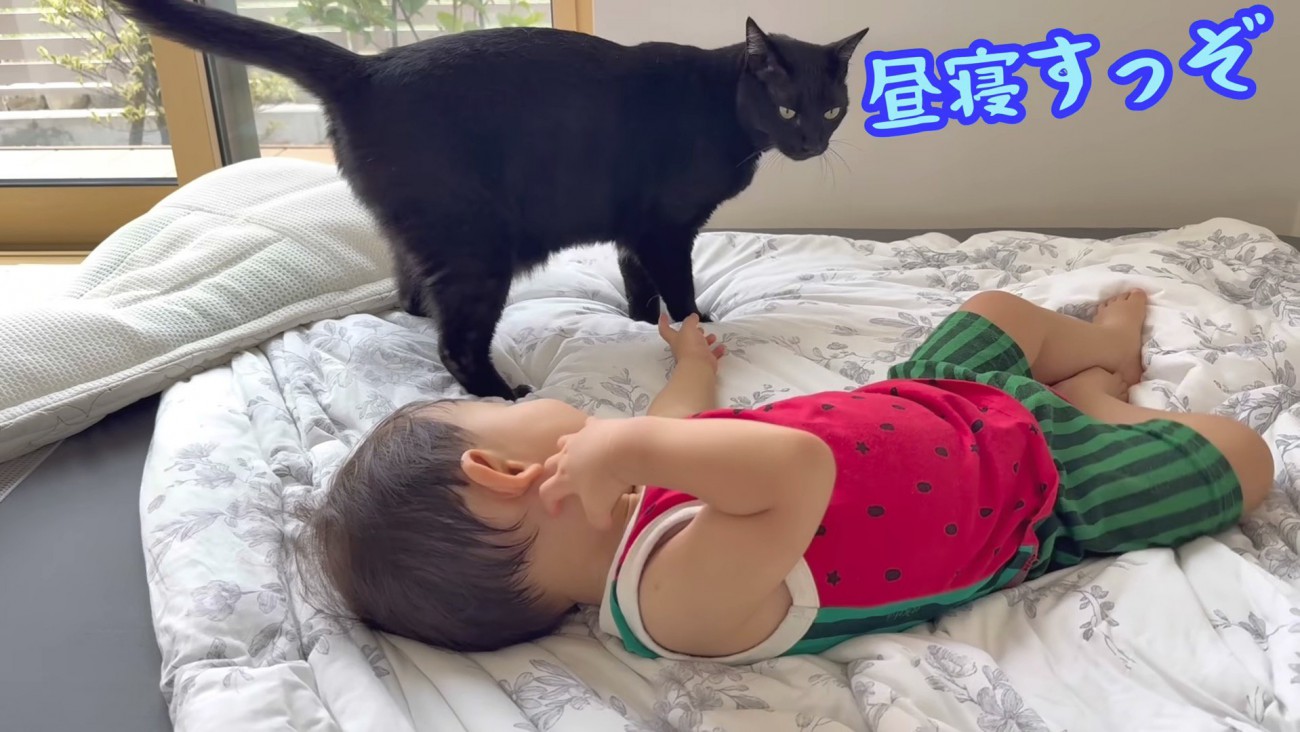 昼寝の誘いをするくまごろー