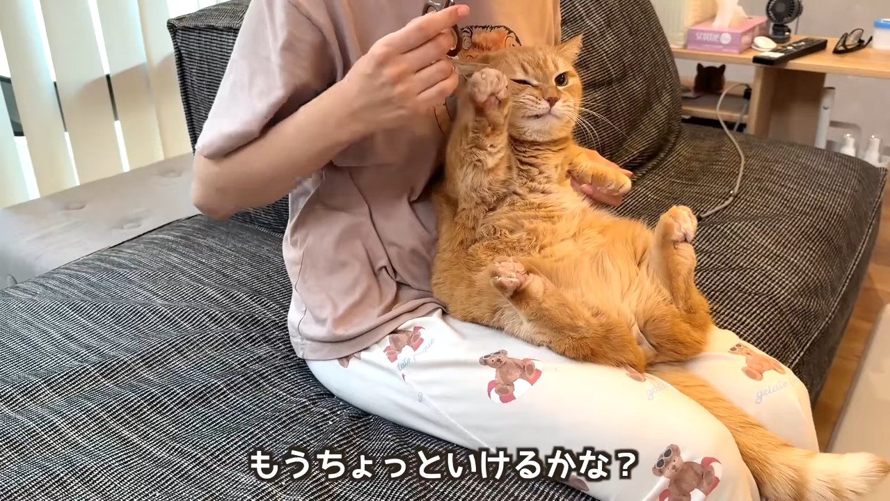 もうちょっといけるかな？