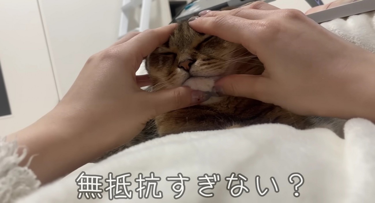 顔むにゅされても無抵抗なみにらくん