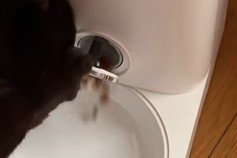 自動給餌器から出てくるフード