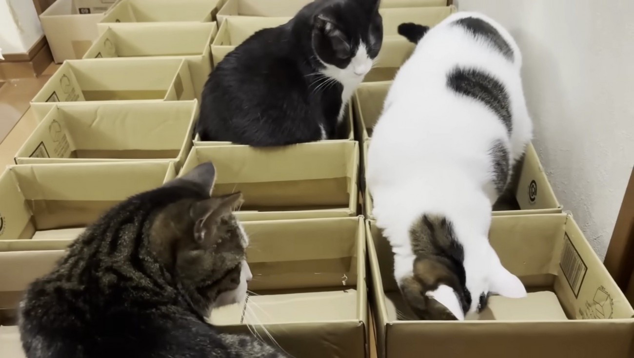 おやつをあげるお母さん