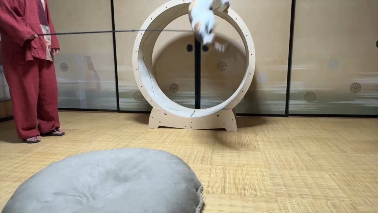 ジャンプ