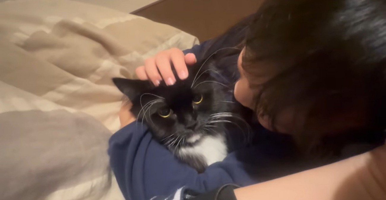 布団に潜り込んでいる猫と隣で寝ている子ども