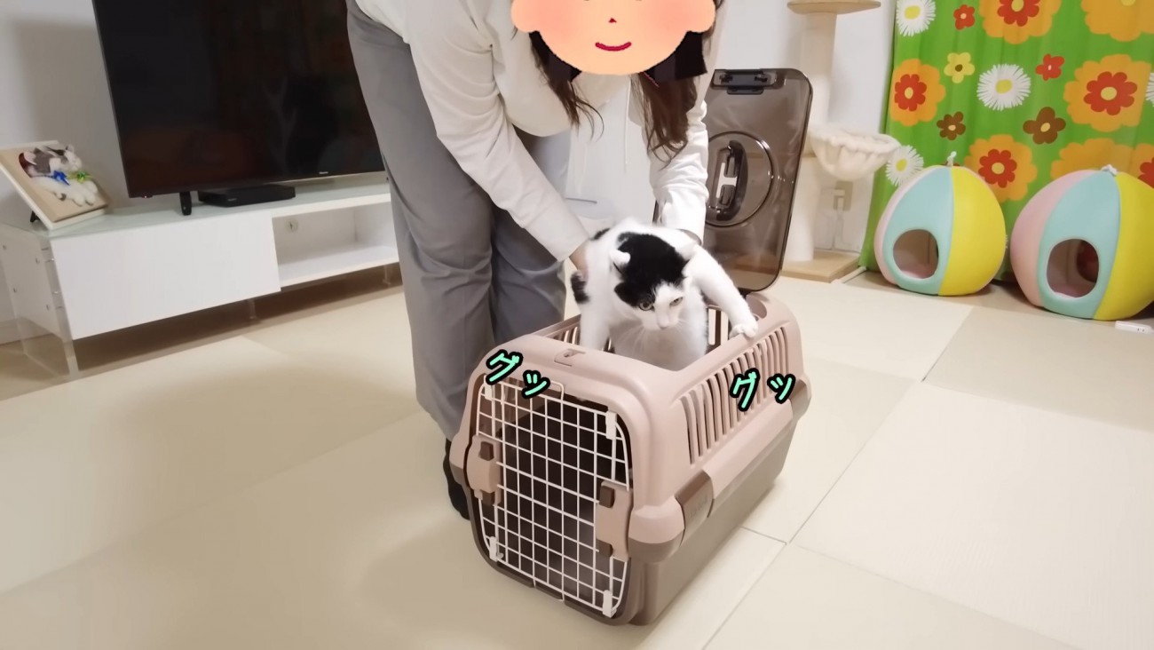 捕獲されたホルンくん