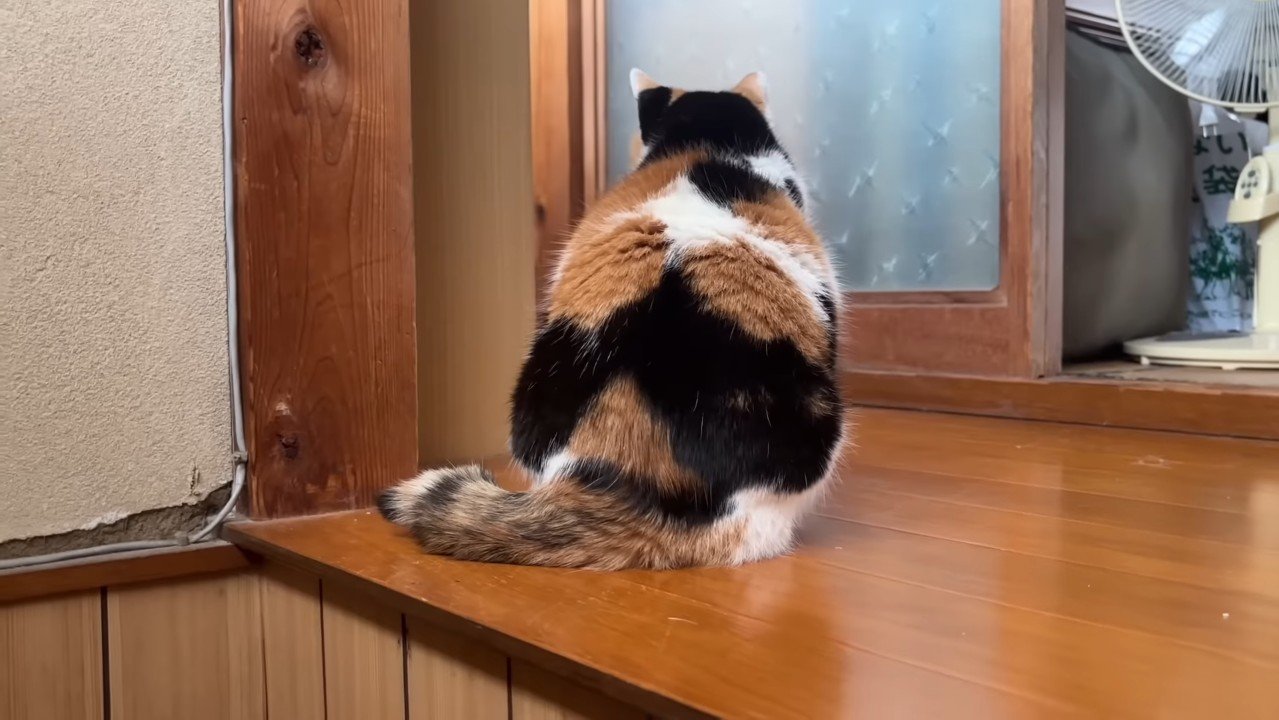 座り込む後ろ姿