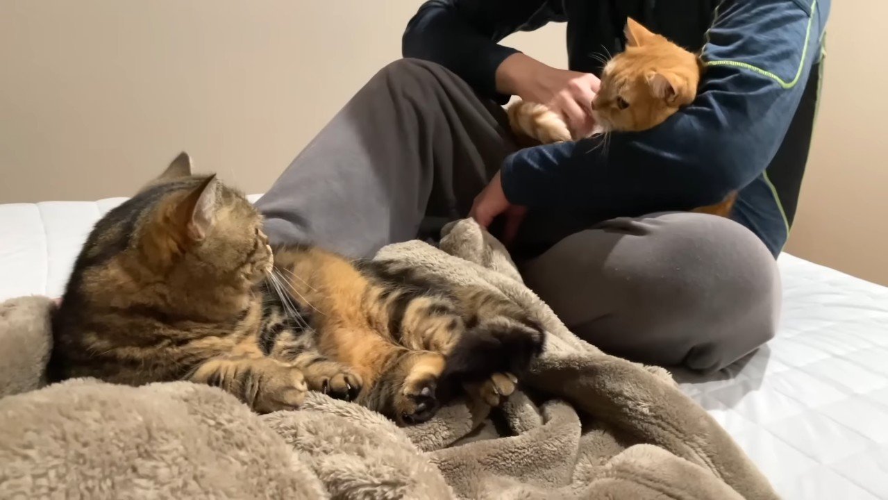 メルくんとプリンくん