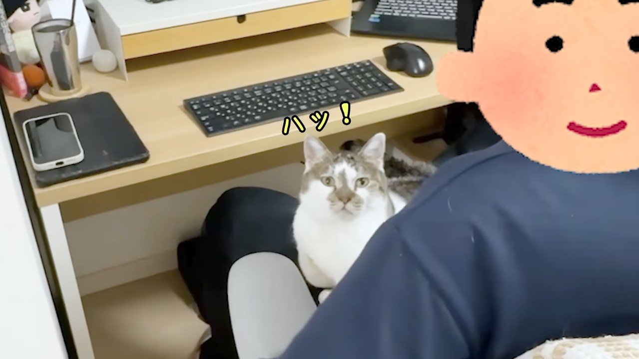 ハッ！