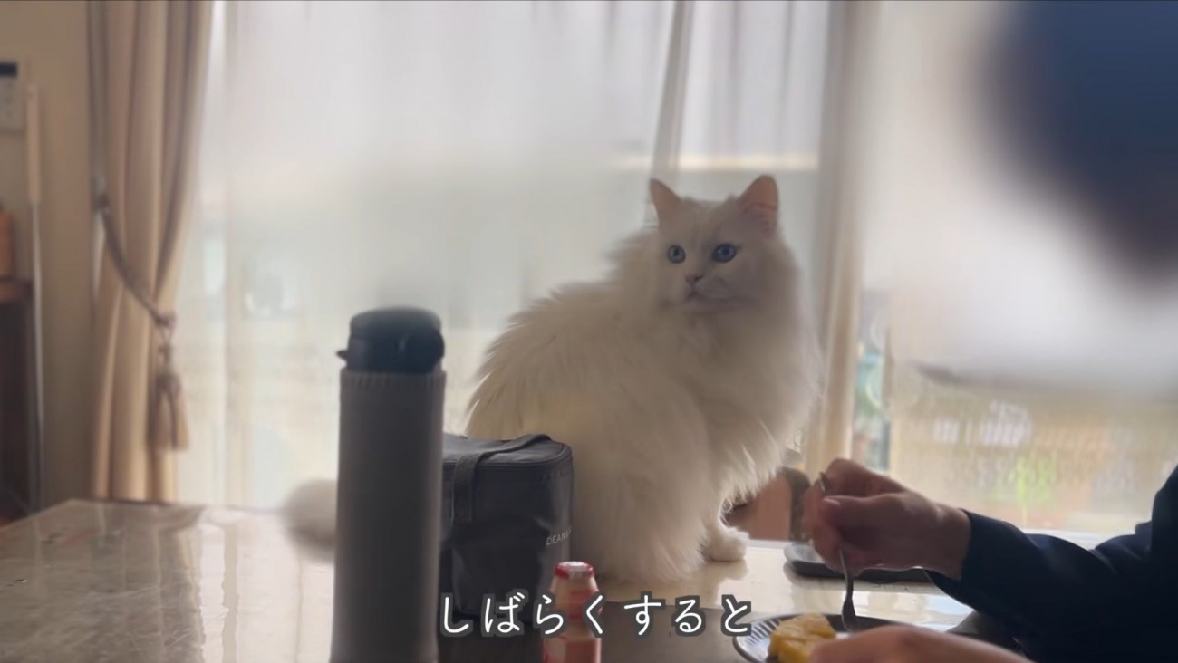 テロップ「しばらくすると」